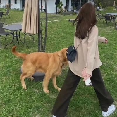 黑凯撒